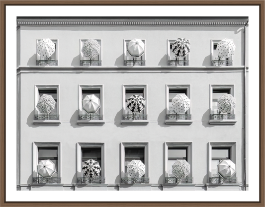 HARMONY - UMBRELLAS - Basel